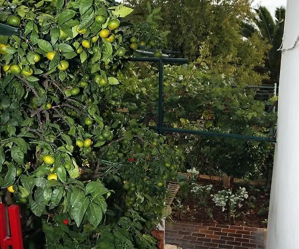Casa de hóspedes With Wifi - 4693