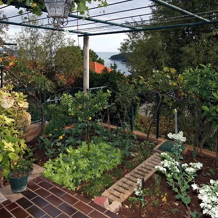 With Wifi - 4693 Dubrovnik