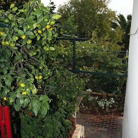 Guest house With Wifi - 4693