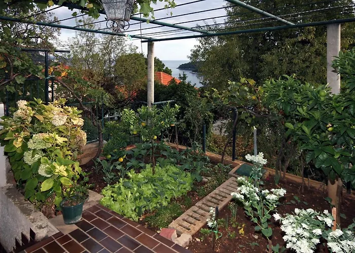 With Wifi - 4693 Dubrownik